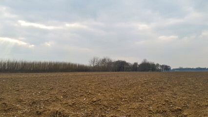 Obraz premium A vast, barren field under a moody sky, surrounded by trees in the distance, capturing the essence of rural landscape and nature's tranquility.