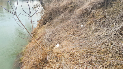 Fototapeta premium A barren riverbank with dry twigs and branches, showcasing the natural environment's texture and colors. Ideal for nature-related projects or environmental awareness.