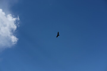 Grand Canyon - October 2024