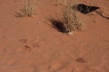Antelope Canyon - October 2024
