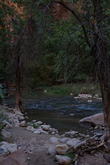 Obraz premium Zion National Park - October 2024