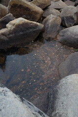 Fototapeta premium Yosemite National Park - October 2024