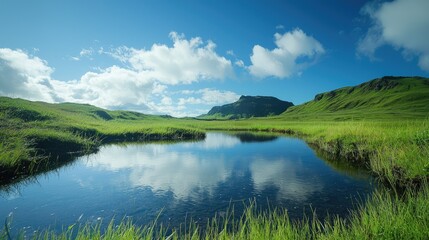 Fototapeta premium Tranquil Grassland View with Reflective Pond