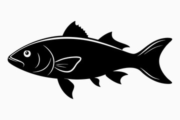 Barramundi Fish silhouette vector, fish black silhouette vector illustration
