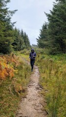 Obraz premium woman hiking trough forest, t at Slieve Bloom Mountains, Forelacka, Kinnitty, Co. Offaly, adventure and lifestyle