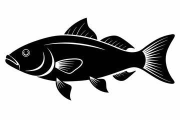 Barramundi Fish silhouette vector, fish black silhouette vector illustration
