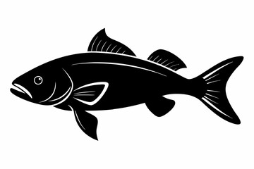 Barramundi Fish silhouette vector, fish black silhouette vector illustration
