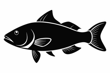 Barramundi Fish silhouette vector, fish black silhouette vector illustration
