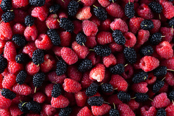 Fototapeta premium texture of black and red berries fresh fruit blueberries and raspberries