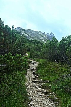 Austrian Alps - view of the peak Elfer in Stubai Alps from the footpath