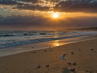 Seagulls soaring over a sandy beach at sunrise.