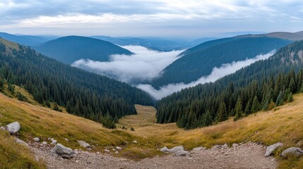 Fototapeta premium Wind turbines stand tall on a mountain ridge, surrounded by fog and greenery, highlighting sustainable energy production.