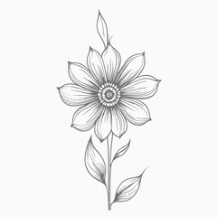 Obraz premium a black and white line drawing of a flower, line art vector
