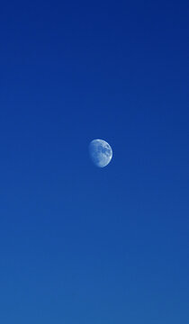 Luna in cielo estivo