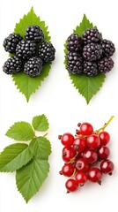The arrangement shows lush black clover leaves mingled with distinct black hawthorn berries, presenting natural beauty from above.
