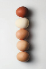 eggs on a white background