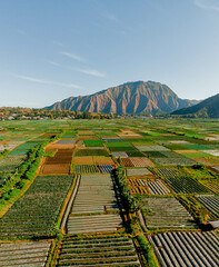 Aerial drone view of amazing farmland scenery at Sembalun in East Lombok, Indonesia.