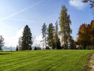 Landscape of a park in autumn, in Asiago in Italy
