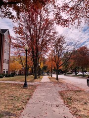 Autumn on campus