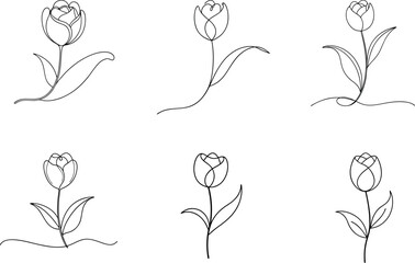 Set o of Tulip Line Art Illustration Simple and Stylish Flower Design