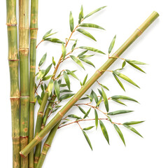 Naklejka premium Bamboo stick, 3D illustration, realistic, isolated on white background. Generative AI