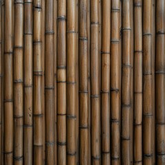 Fototapeta premium Bamboo fence offering natural charm in a peaceful outdoor setting