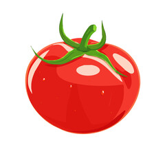 Fresh cartoon farming tomatoes whole, half and sliced isolated on white background, Tomato. Whole and half cut tomatoes. Vector cartoon illustration. Vegetables pile Isolated on White background