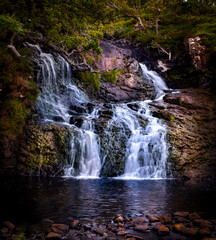 Fototapeta premium waterfall in the forest 
