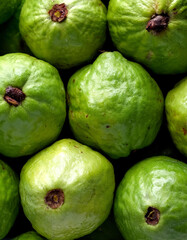 Guava, Creative background design with food theme, focus on the pile of fresh Guava