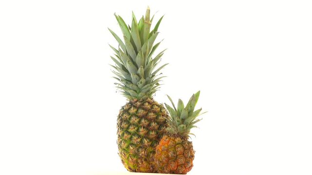Big and small pineapples spinning slowly, isolated on white background