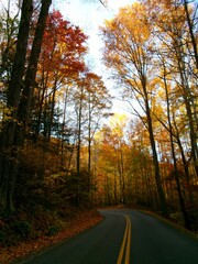 Mountain Road in Autumn