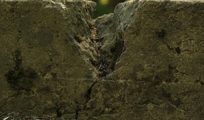Old cracked concrete, close-up