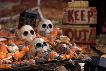 Various colorful Fall and Halloween yard and porch decorations