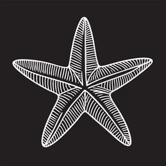 Fototapeta premium Doodle starfish