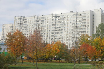 autumn in the landscape park Yuzhnoye Butovo, Moscow, October 2024, 3