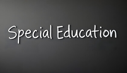 Fototapeta premium Word writing text Special Education. Business photo showcasing form of learning given to students with mental challenges isolated with white highlights, png