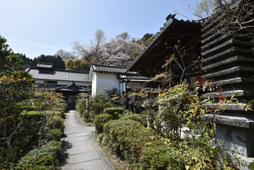 聖林寺　境内　奈良県桜井市