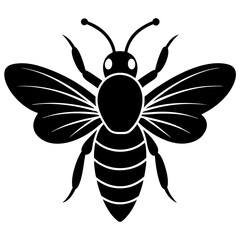 illustration of a bee