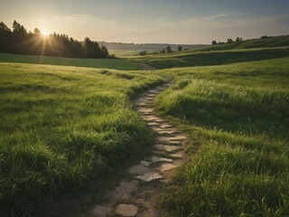 Obraz premium Winding Path Through a Green Meadow at Sunset