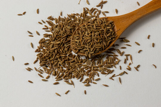 toasted cumin seeds