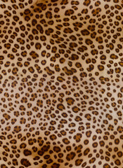 leopard seamless pattern with leopard print
