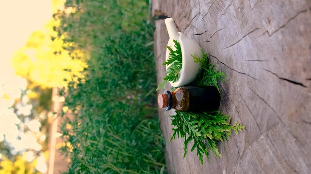 Thyme extract in a bottle. Selective focus.