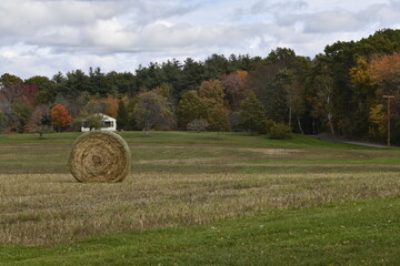 Hay Roll in a farm field