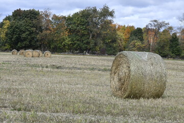 Landscape with hay roll