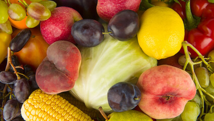 Ripe and juicy vegetables and fruits. Bright background.