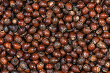 Dried oak acorns, natural background, top view