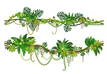 Liana vine branches of tropical jungle forest and ivy creeper climbing plants, vector cartoon trees. Tropical rainforest liana and Amazon jungle hanging ivy tree with creeping tendrils and leaves