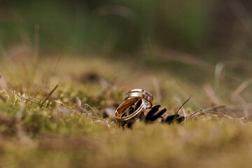 Elegant Wedding Rings Nestled in Nature's Embrace