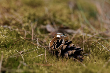 Elegant Wedding Rings Resting on a Pine Cone Amongst Nature's Soft Greenery