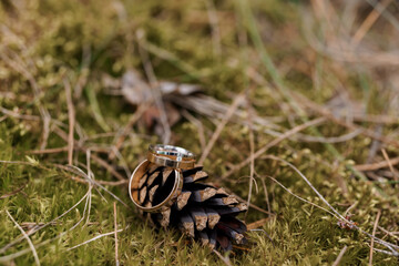 Elegant Wedding Rings Resting on a Pine Cone Surrounded by Nature